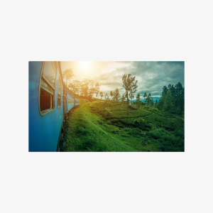 Adisham Rail Tour from Ella City