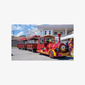 Basseterre St. Kitts City Tour - Trackless Trolley Train Ride