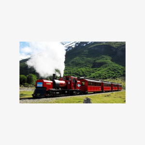 National Park with Train and Navigation Beagle Channel Full Day Tour