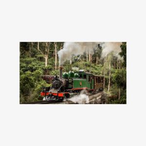 Puffing Billy Train and Phillip Island Penguin Parade Day Tour